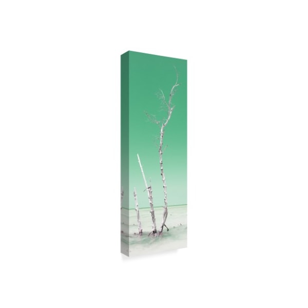 Philippe Hugonnard 'Ocean Nature Pastel Green' Canvas Art,10x32